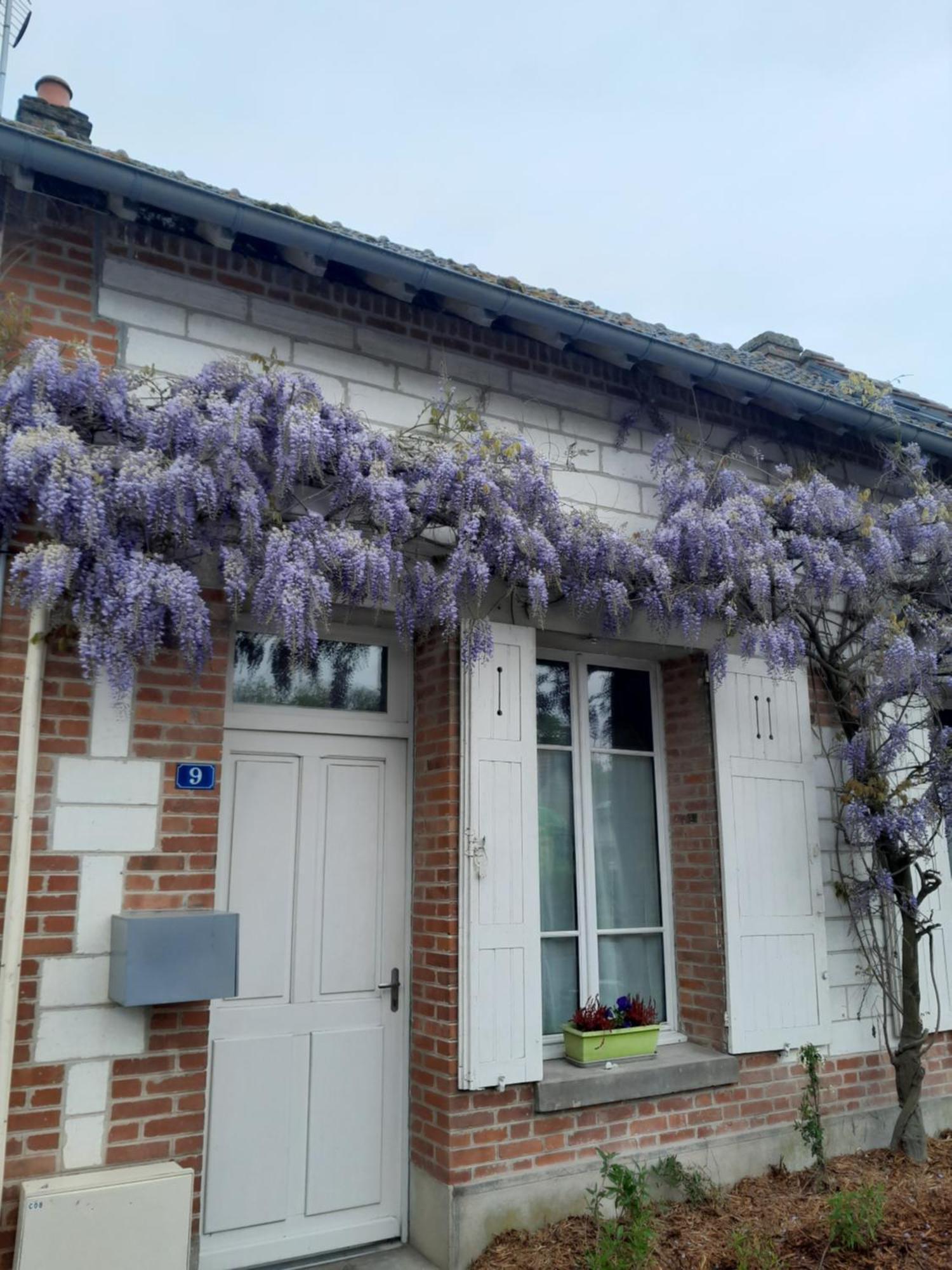 Gite, Maison A La Campagne Ardennes, Aisne,Marne Le Thour Rom bilde